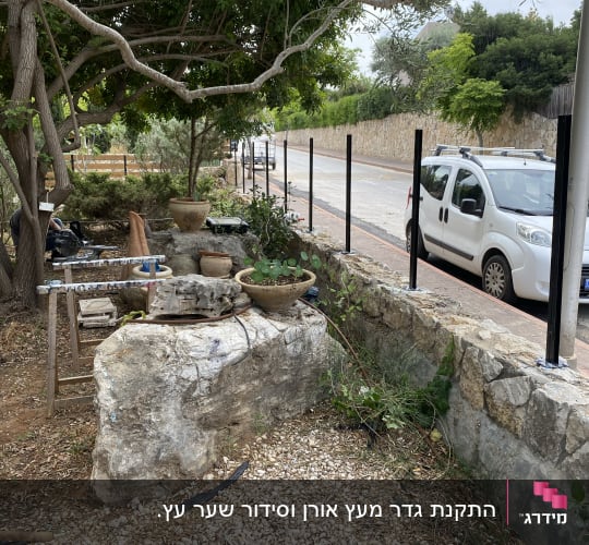 עצים, עציצים ואבנים בגינה